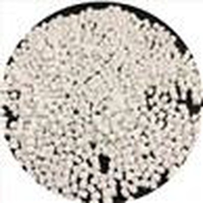 PET For Film Production